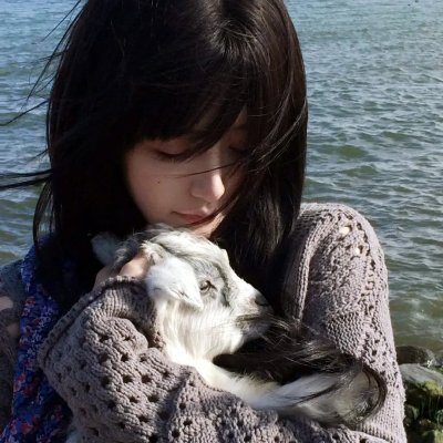 精灵宝可梦:神速的灭世虫盖诺赛克特超梦觉醒粤语