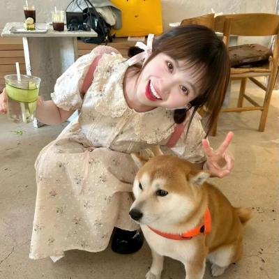昼夜惊心